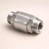 Обратный клапан G-S AISI 304 DN 25